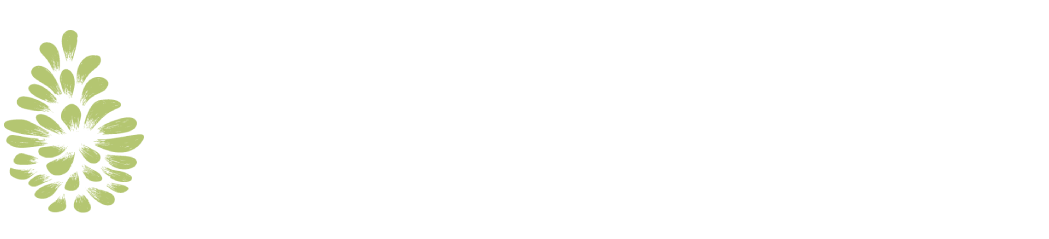 Little Symphony Records Logo