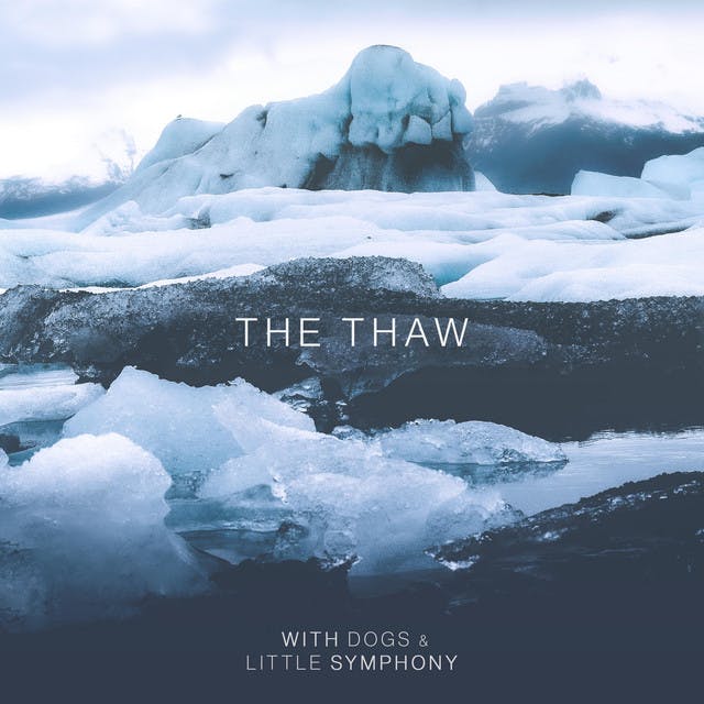 The Thaw by With Dogs, Little Symphony