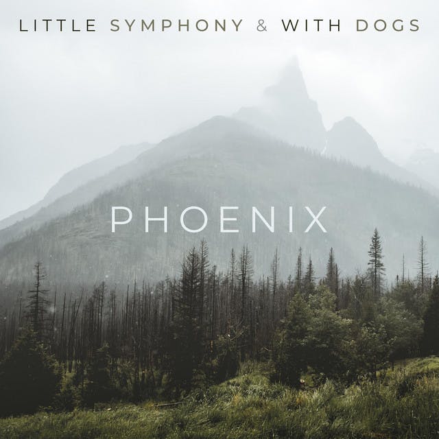 Phoenix by Little Symphony, With Dogs