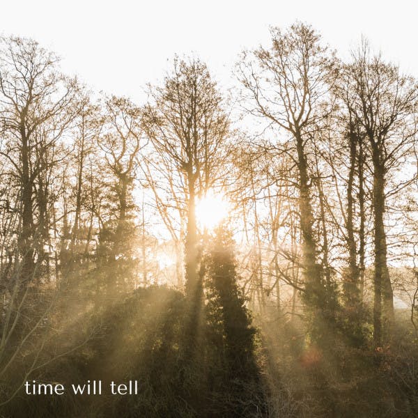 Time Will Tell by Let It Bloom
