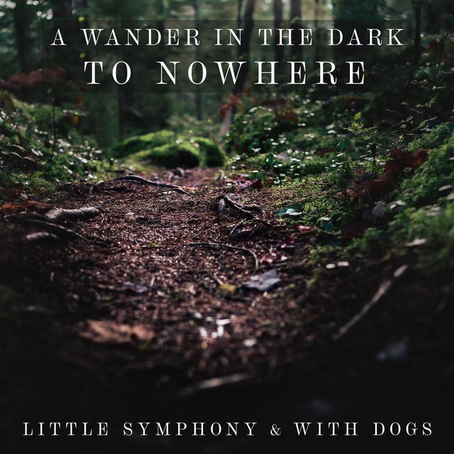 A Wander in the Dark to Nowhere by Little Symphony, With Dogs
