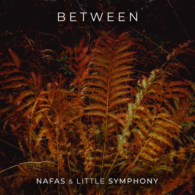 Between by Nafas, Little Symphony