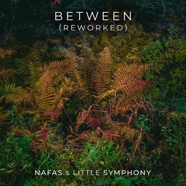 Between (Reworked) by Nafas, Little Symphony