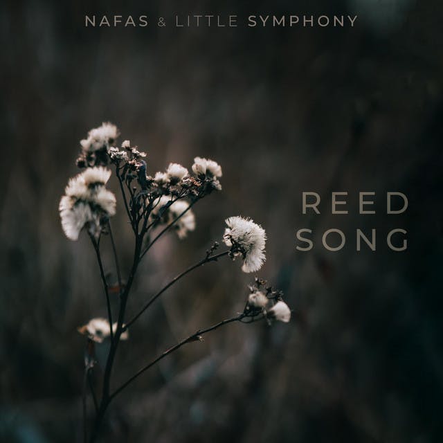 Reed Song by Nafas, Little Symphony